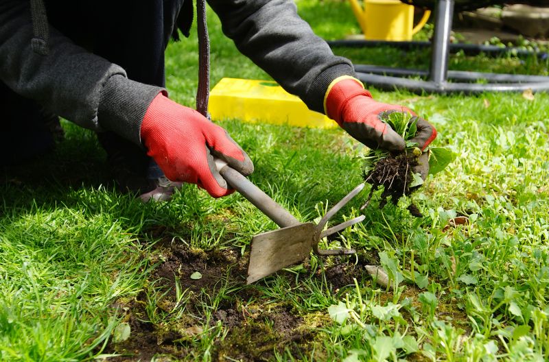 Deweeding Tools in Use