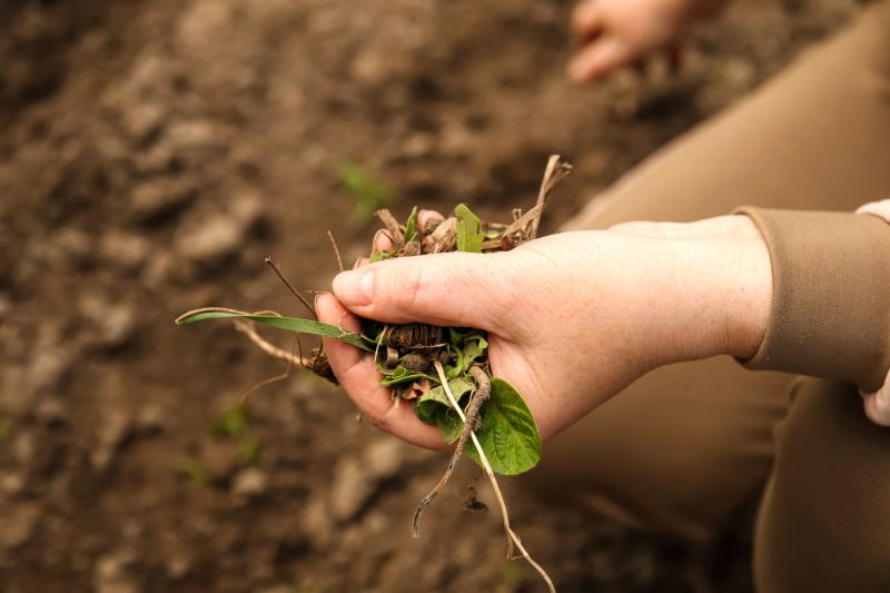 Community Garden Maintenance Teams