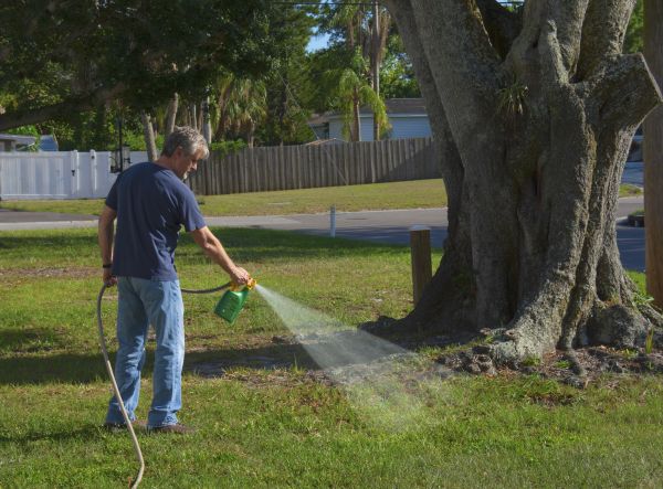 Front Yard Weed Control